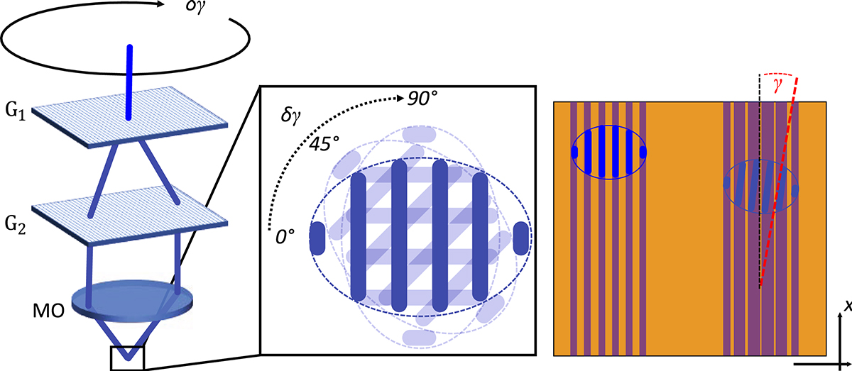 Figure 3 Refer to the following caption and surrounding text.