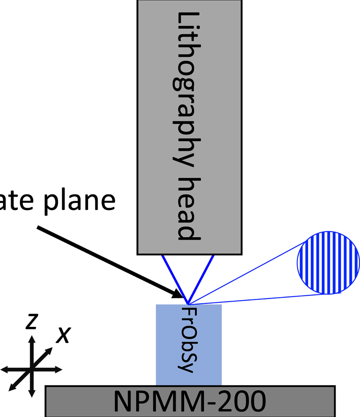 Figure 6 Refer to the following caption and surrounding text.
