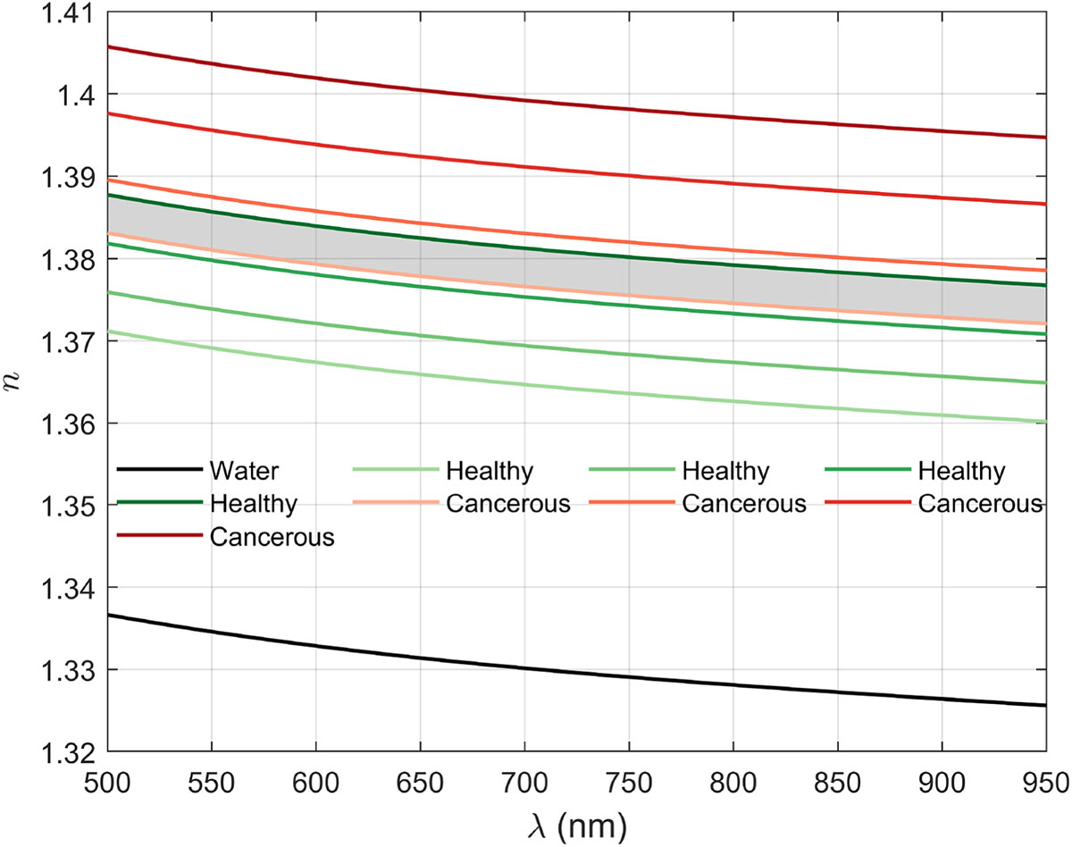 Figure 2 Refer to the following caption and surrounding text.
