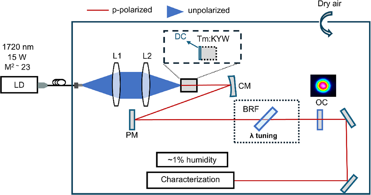 Figure 1 Refer to the following caption and surrounding text.