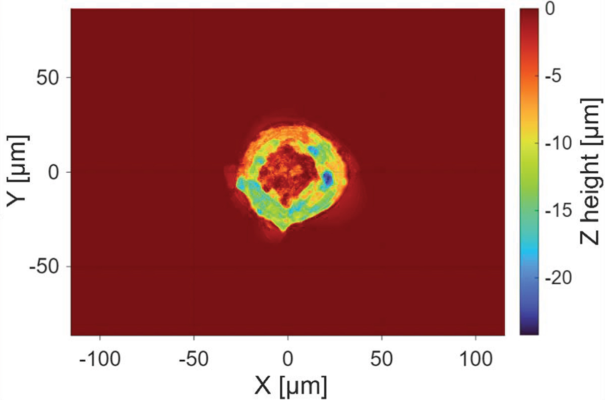 Figure 4 Refer to the following caption and surrounding text.