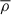 Mathematical equation: $$ \overline{\rho} $$